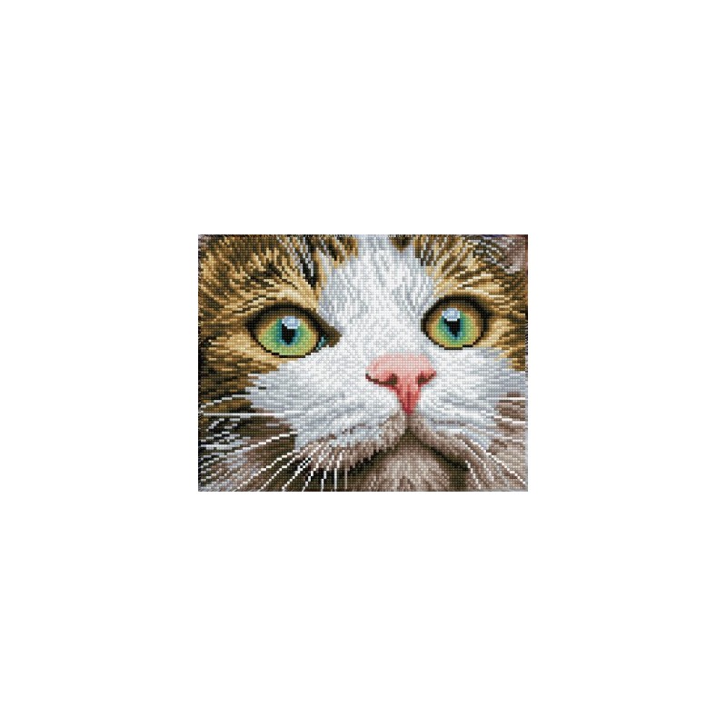 Kit DIAMOND DOTZ® Chat aux yeux verts - Sans cadre