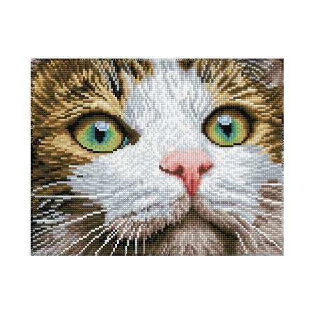 Kit DIAMOND DOTZ® Chat aux yeux verts - Sans cadre
