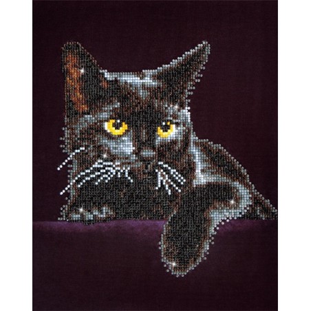 Kit DIAMOND DOTZ® Chat Noir - Sans cadre