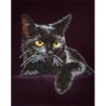 Kit DIAMOND DOTZ® Chat Noir - Avec cadre