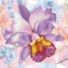 Kit DIAMOND DOTZ® Fleur d'orchidée mauve - Avec cadre