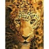 Kit DIAMOND DOTZ® Jaguar à l'affût - Avec cadre