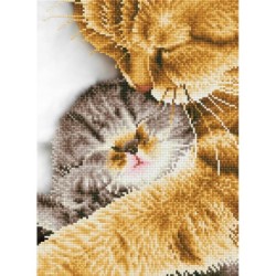 Kit DIAMOND DOTZ® Tendres...