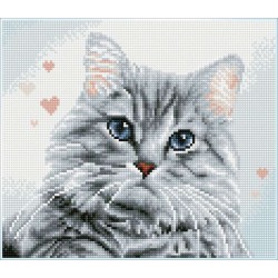 DIAMOND DOTZ® Carré Pricilla le Chat - Intermédiaire - Avec cadre