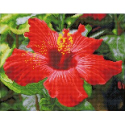DIAMOND DOTZ® Carré Fleur d'Hibiscus - Intermédiaire - Avec cadre