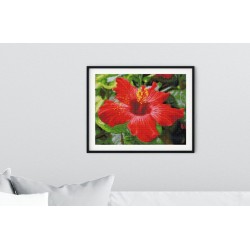 DIAMOND DOTZ® Carré Fleur d'Hibiscus - Intermédiaire - Avec cadre
