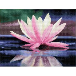 DIAMOND DOTZ® Carré Reflet de Fleur de Lotus - Intermédiaire - Avec cadre