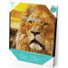 DIAMOND DOTZ® Carré Roi lion - Intermédiaire - Avec cadre