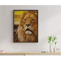 DIAMOND DOTZ® Carré Roi lion - Intermédiaire - Avec cadre