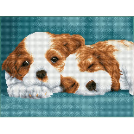 DIAMOND DOTZ® Carré : Chiots au repos - Intermédiaire - Sans cadre