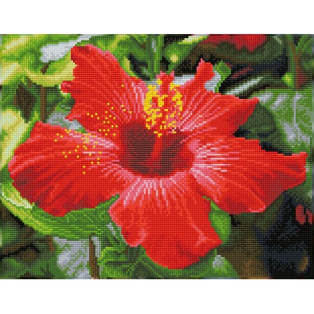 DIAMOND DOTZ® Carré Fleur d'Hibiscus