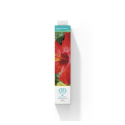 DIAMOND DOTZ® Carré Fleur d'Hibiscus