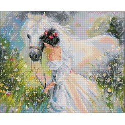 DIAMOND DOTZ® Carré La Jeune fille et son Cheval Blanc - Intermédiaire - Avec cadre
