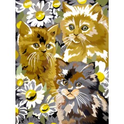 PJS9