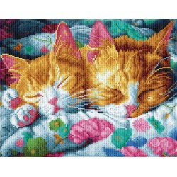 DD10/076 - la sieste des chatons