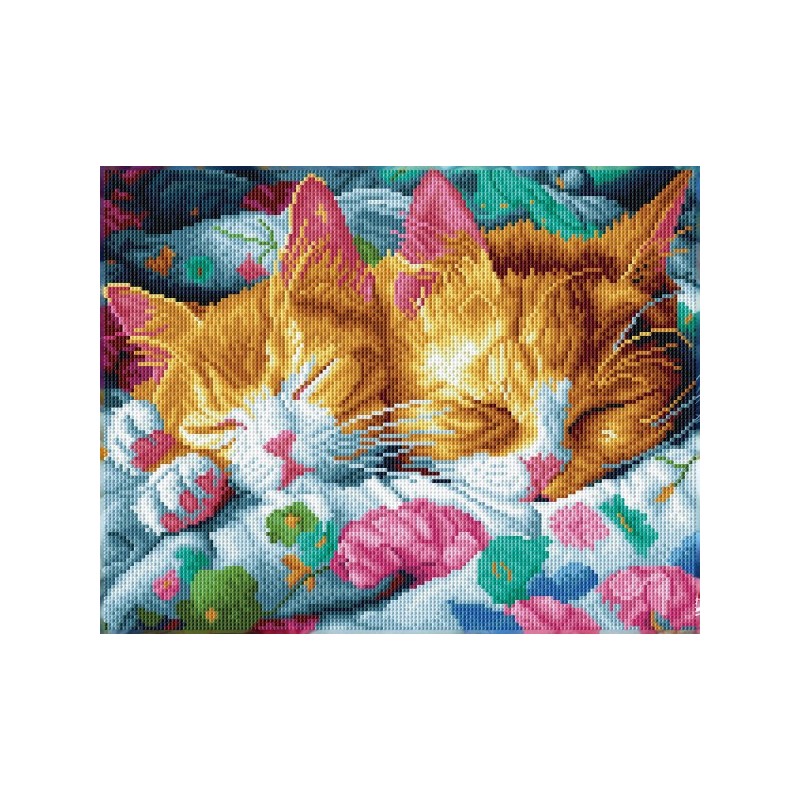 DD10/076 - la sieste des chatons