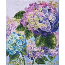 DD10/080 - Composition d'hortensias
