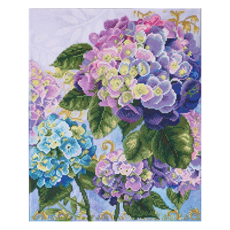DD10/080 - Composition d'hortensias