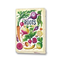 DOTZ® BOX Adultes - Légumes d'antan