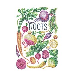 DOTZ® BOX Adultes - Légumes d'antan