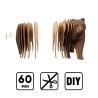 CARTONIC® - Modèle Ours Grizzly