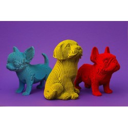 copy of CARTONIC® - Modèle Chat