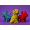 CARTONIC® - Modèle Trio Chiots