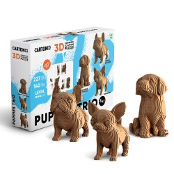 Trio de chiots Cartonic