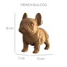 copy of CARTONIC® - Modèle Chat