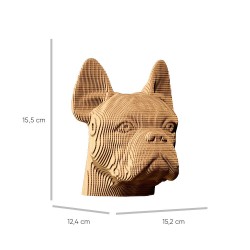 CARTONIC® - Modèle Bulldog