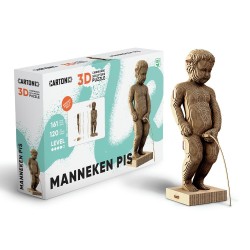 copy of CARTONIC® - Modèle...