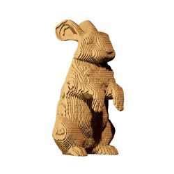 copy of CARTONIC® - Modèle Chat