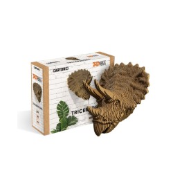 copy of CARTONIC® - Modèle...