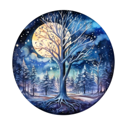 WP.051 - Nuit glacée