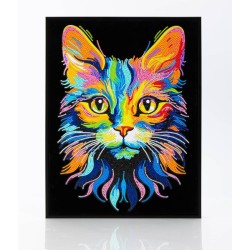 DD25/019 - CHAT arc en ciel Diamond Dotz