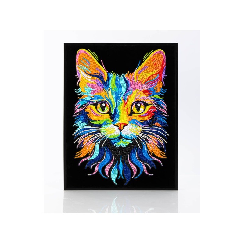 DD25/019 - CHAT arc en ciel Diamond Dotz
