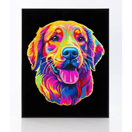 DD25/021 chien Golden Retriever