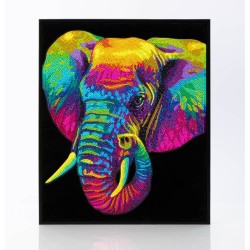 DD25/023 éléphant arc-en-ciel