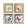 DD26/005 humeur de papillons