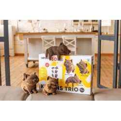 copy of CARTONIC® - Modèle Chat