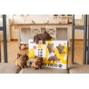 CARTONIC® - Modèle Trio Chatons
