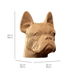 CARTONIC® - Modèle Méga Bulldog
