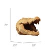 CARTONIC® - Modèle Crocodile