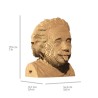 CARTONIC® - Modèle Einstein