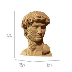 CARTONIC® - Modèle David