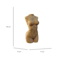 CARTONIC® - Modèle Torse féminin