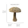 CARTONIC® - Modèle Champignons