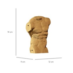 CARTONIC® - Modèle Torse masculin
