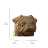 CARTONIC® - Modèle Pug