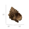 CARTONIC® - Modèle Coquillage